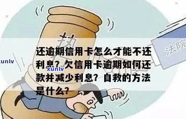 信用卡咋才不逾期还款，如何避免利息损失？