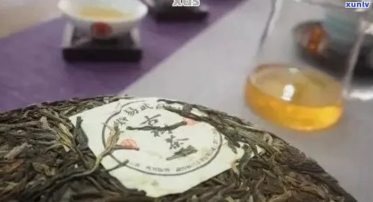 易武早春普洱茶：品鉴与选购指南，了解品质与口感的关键因素