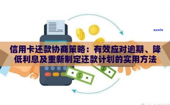 新 '信用卡债务重组： 停止利息支付，实灵活的分期偿还方案'