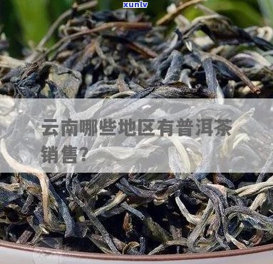 普洱茶参于哪里有卖：请告诉我您附近的普洱茶销售地点。