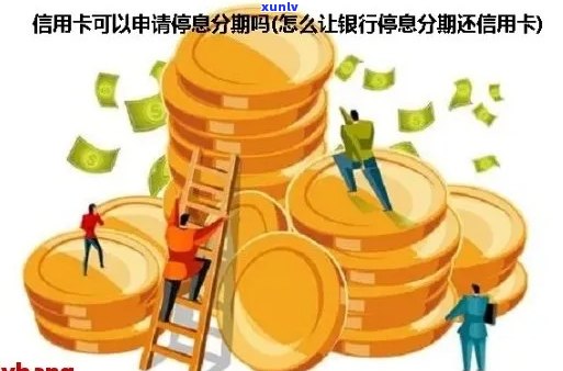 如何申请信用卡停息分期？全面解析申请步骤与条件