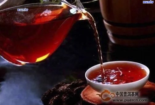 熟普洱茶每天喝几杯好？