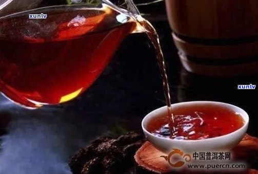 熟普洱茶每天喝几杯