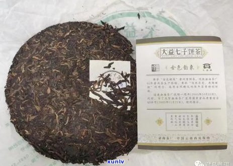 大益普洱茶金色系列：品质、产地、口感、功效等全方位解析与选择指南