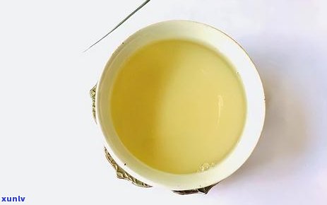 普洱茶：砖茶与饼茶的口感对比，哪种更适合您的口味？