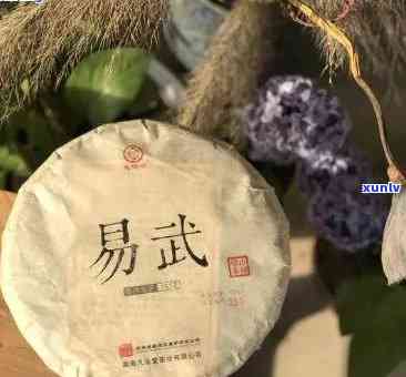 全面了解凡圣堂普洱茶价格及选购指南：从品质、产地到口感一应俱全