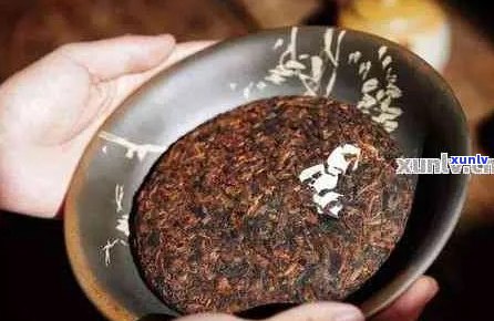 新 如何正确煮沸普洱茶饼：步骤、技巧与潜在风险