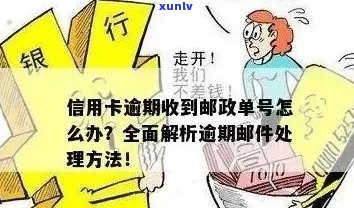 邮政信用卡逾期7年未还款，如何处理以及可能的影响和解决方案