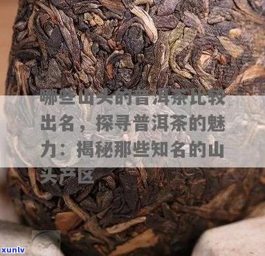 探索普洱茶的产地：哪几个著名山头孕育了更具品质的茶叶？