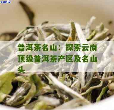 探寻普洱茶名山：几个不可错过的茶叶产地