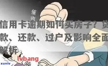 信用卡逾期超过五万，房子会被拍卖吗？还有其他解决方案吗？