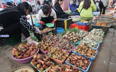 普洱茶市场交易量更大的原因、品种和价格分析