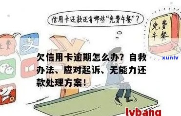 信用卡还款困扰：逾期引发家人担忧