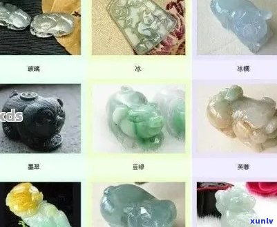 翡翠福贝挑选之道：如何挑选优质品种