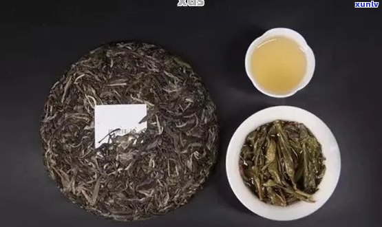 普洱茶六大山头特色口感一览：如何选择适合自己的普洱茶？