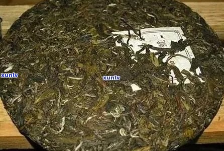 普洱茶六大山头特色口感一览：如何选择适合自己的普洱茶？