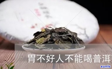 胃不好不能喝普洱茶