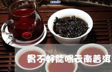 胃不好不能喝普洱茶