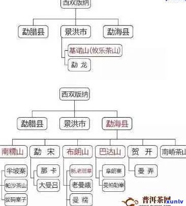 普洱茶产地海拔对茶叶品质的影响及选择建议