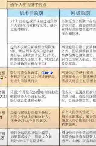 新信用卡逾期报案材料收到后的应对策略：详细步骤与建议