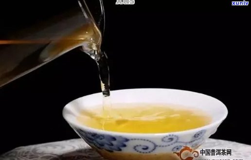 普洱茶的回生津之谜：品味科学的魅力