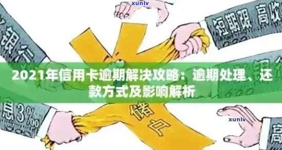 信用卡逾期本金分期还款利息计算方式及相关政策解读