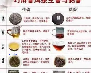 普洱茶回的原因及其科学的解析