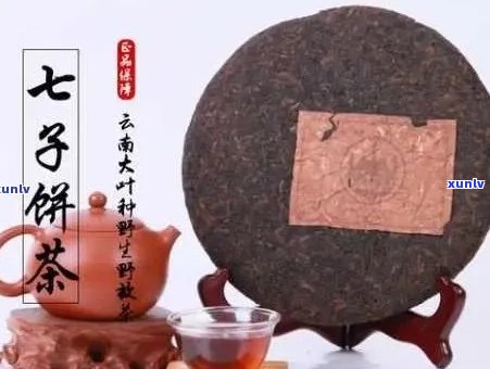 普洱茶七子饼茶：品种、 *** 工艺、品饮 *** 与功效全面解析