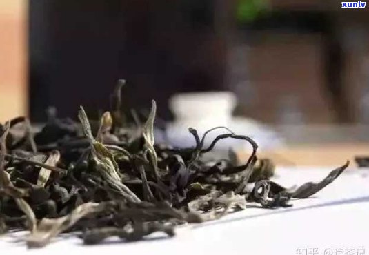 新生普洱茶的饮用 *** ：是否需要在通风环境下 *** ？