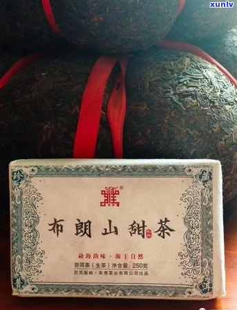 七子普洱茶饼：名茶传奇、 *** 工艺与品饮体验的深度解读