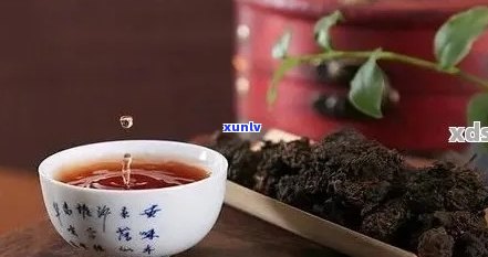 普洱茶与生的结合：减肥效果、适用人群与注意事项全解析