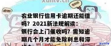 农业信用卡逾期10万怎么办-农业信用卡逾期10万怎么办理