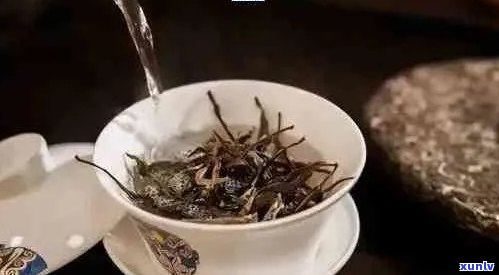 新 与普洱茶的独特融合，揭秘其健效益和美味秘诀