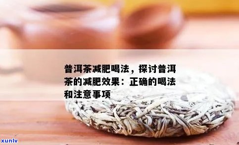 普洱茶加片减肥法