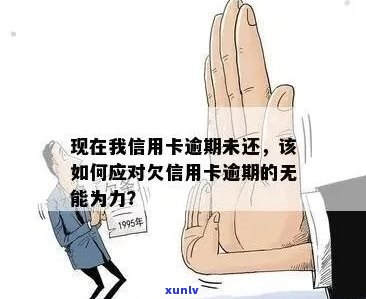 我信用卡逾期无法使用了怎么办？