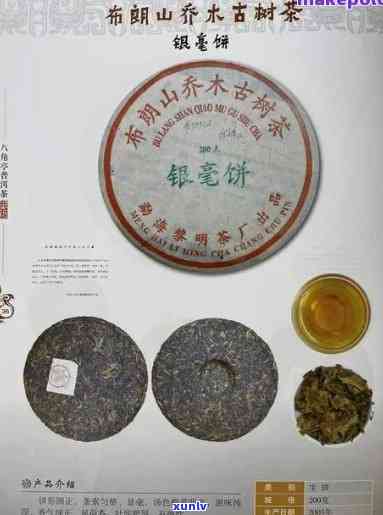 普洱茶中黄点：真相探究与饮用安全性分析