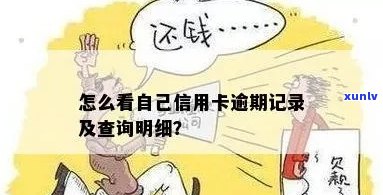 自己信用卡逾期怎么查