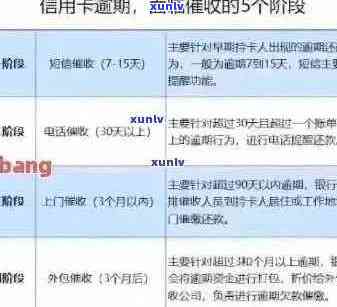 信用卡逾期还款策略：如何选择最划算的方式避免额外费用与信用损害