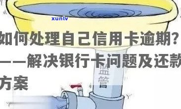 信用卡逾期还款策略：如何选择最划算的方式避免额外费用与信用损害