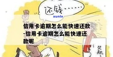 信用卡逾期了如何还款