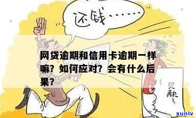 逾期信用卡与网贷：哪个更优选择？ 或者 比较逾期信用卡和网贷的利弊