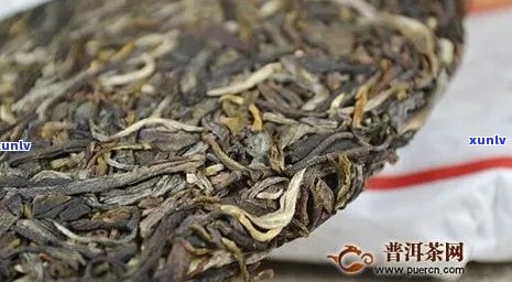 如何使用茶针鉴别普洱茶的真伪及注意事项