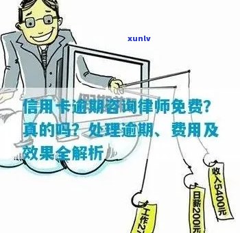 免费咨询：信用卡逾期解决方案与实用建议