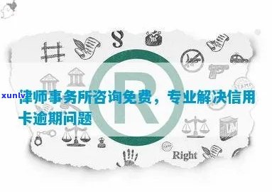 免费咨询：信用卡逾期解决方案与实用建议