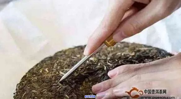 普洱茶如何用茶针分