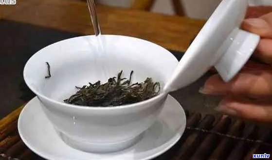 普洱茶针：使用技巧与注意事项一览，让您泡出更好喝的茶