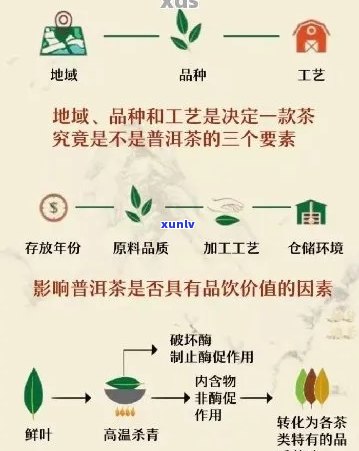 普洱茶加工创新技术：探索新 *** 与趋势，全面解决用户疑问