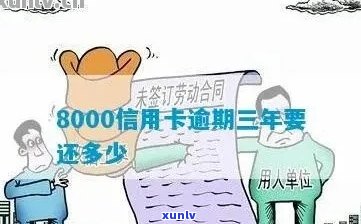 新信用卡逾期8000多元，三年还款计划如何应对？了解这些关键信息！