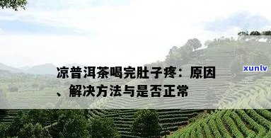 普洱茶引发肚子疼的可能原因及解决 *** 