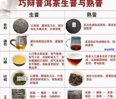 普洱茶什么样口感好：辨别优质普洱茶的口感要素与选购指南